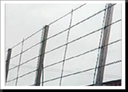 Razor Wire Fencing2