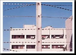 Razor Wire Fencing3