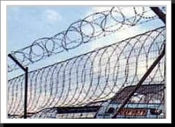 Razor Wire Flatwrap2
