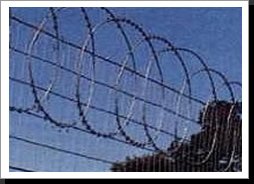 Razor Wire Flatwrap3