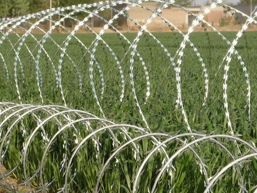 razor wire barrier